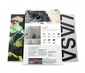 Liasa